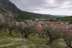Donato Natale - Panorama